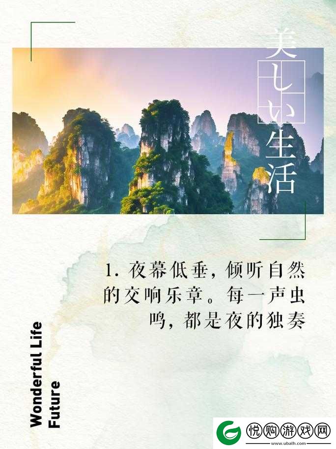 用精炼的语言