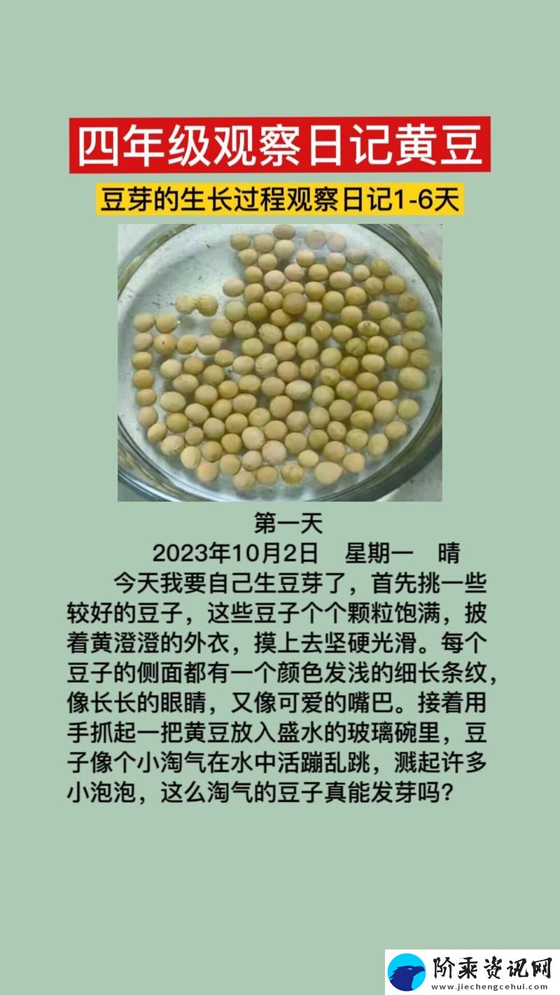 小翠日记1