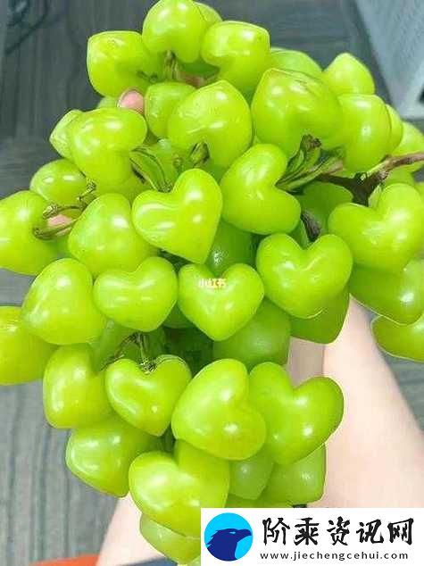 榴莲草莓西瓜茄子黄瓜