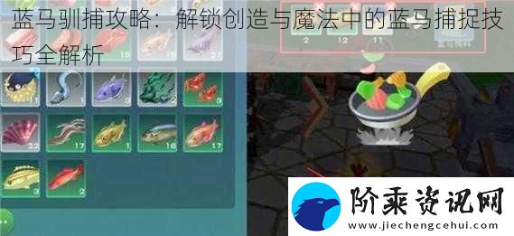 蓝马驯捕攻略