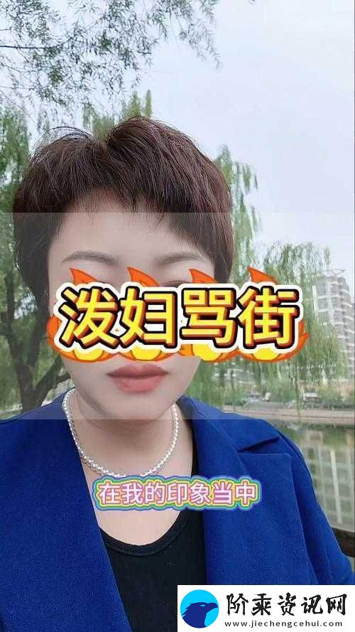 安徽妇搡