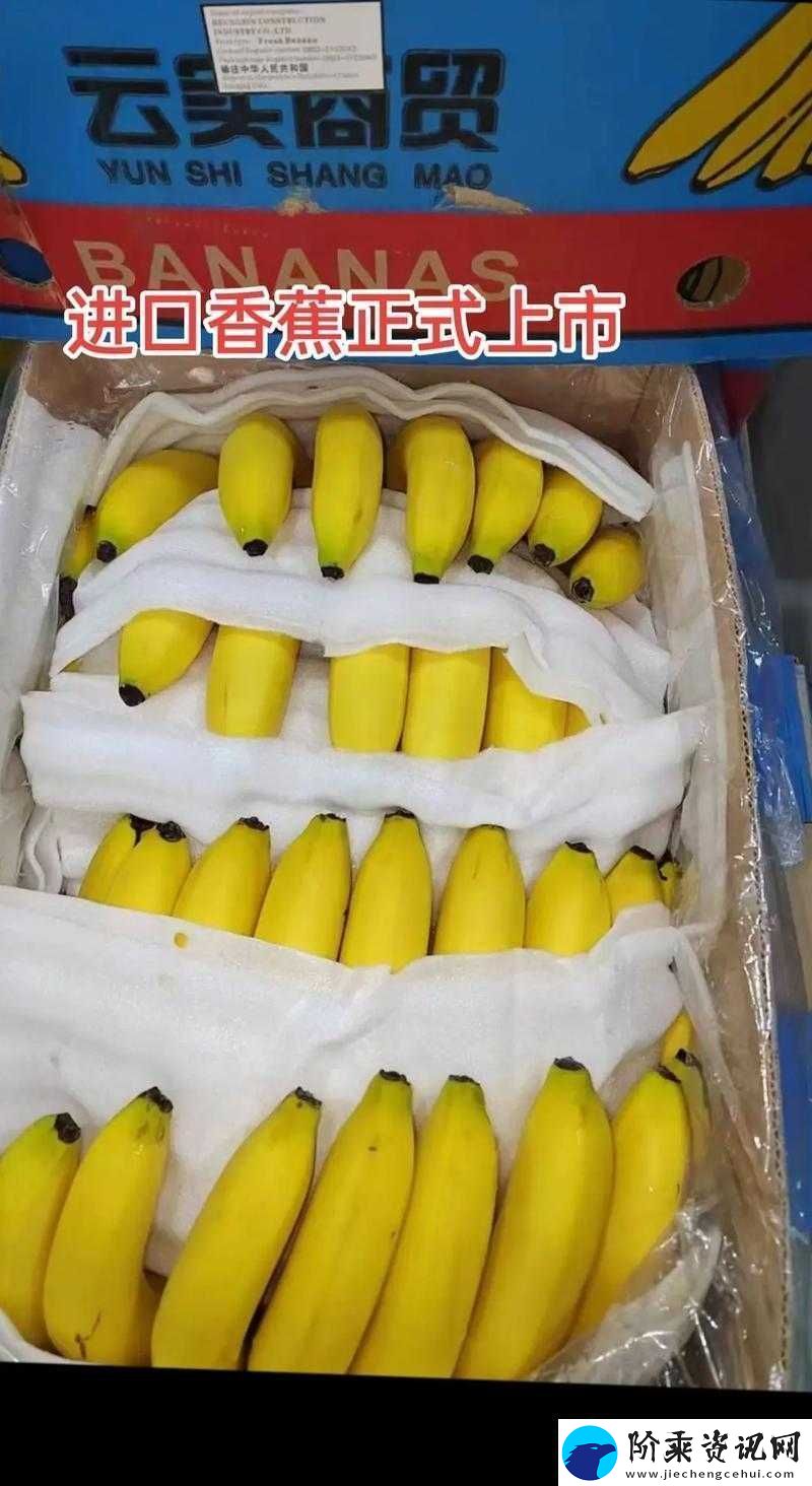 国产香蕉与进口香蕉价格比较