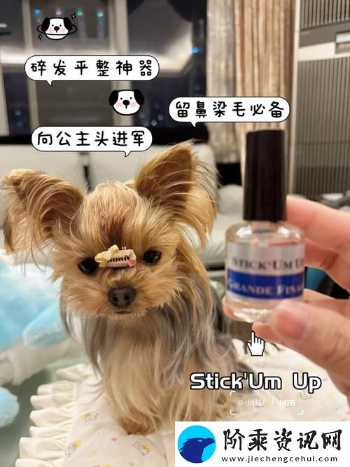 多种类美国人与动物胶配方解析