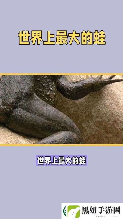 朋友圈的蛙风盛行