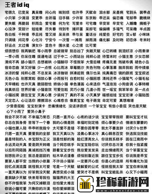 王者荣耀