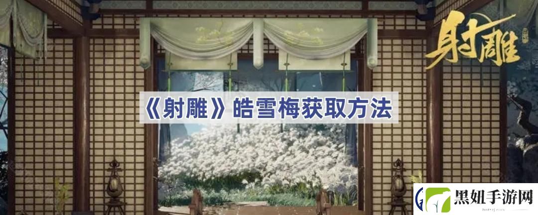 皓雪梅获取方法