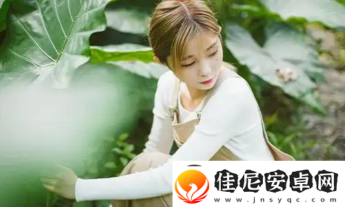 18款成品短视频app下载量