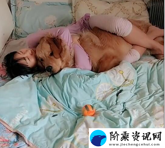 探讨“女人跟金毛发生产关系怎么办”的现实与思考