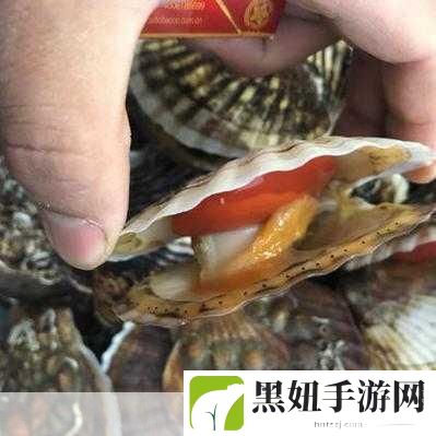 被吃扇贝的感觉:1. 被扇贝吞噬的奇妙体验
