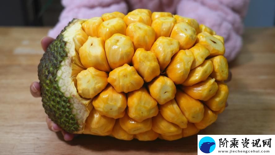 菠萝蜜在线观看免费观看