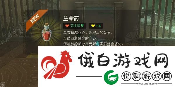 王国之泪巧克高尼神庙怎么过