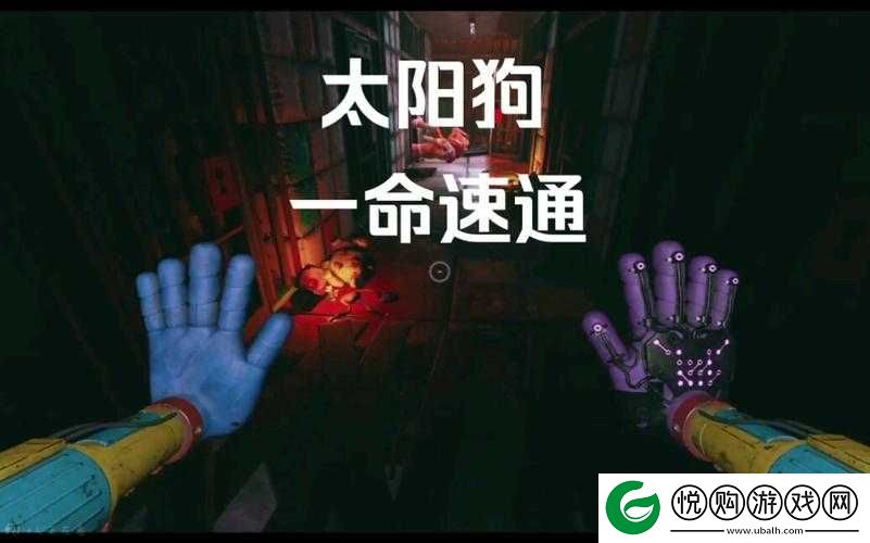 一人一狗卡六个小时游戏