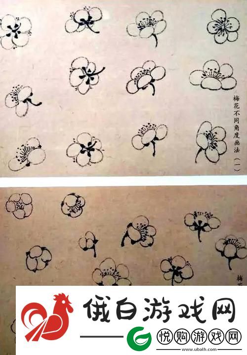 梅花开几度老张周梅