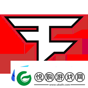 征战11年