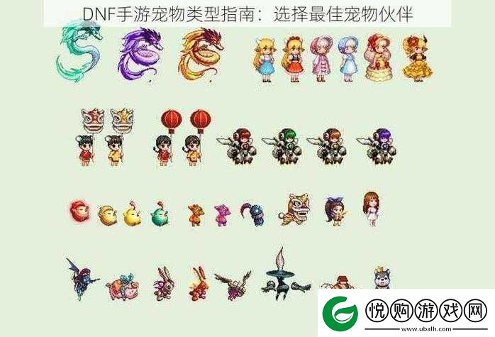 DNF手游宠物升星进化全方位指南助你打造顶级战斗伙伴