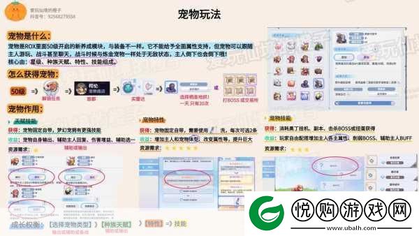 仙境传说RO新启航