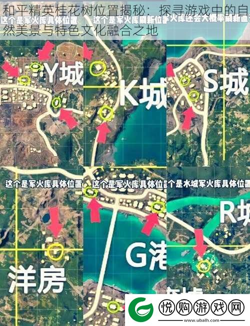 和平精英桂花树位置揭秘