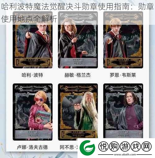 哈利波特魔法觉醒决斗勋章使用指南