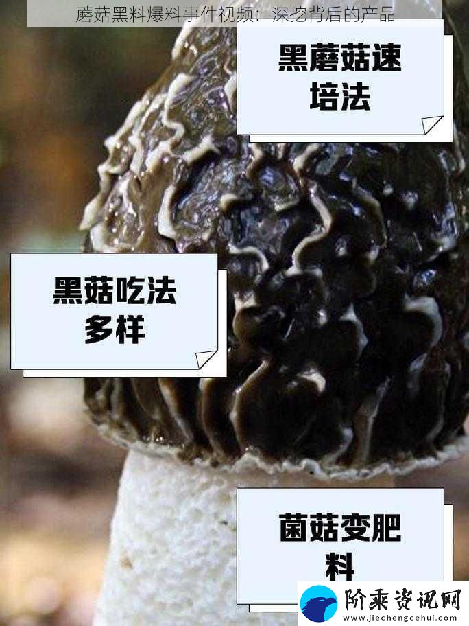 蘑菇黑料爆料事件视频