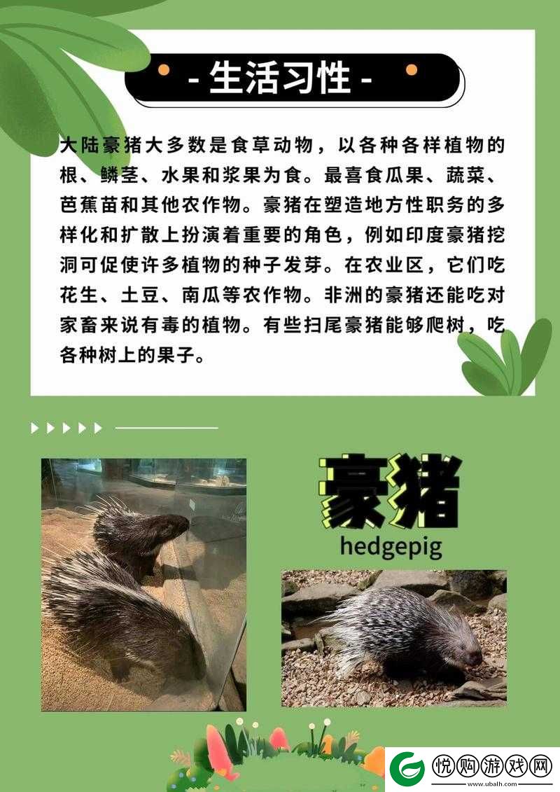 美国