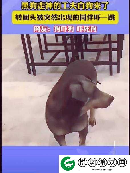 美国
