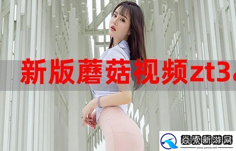 国产精品入口免费软件