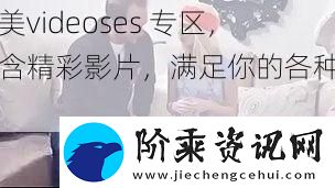 欧美videoses