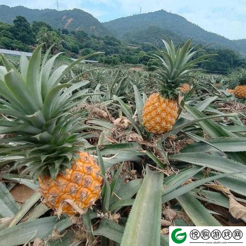 探索神秘福建