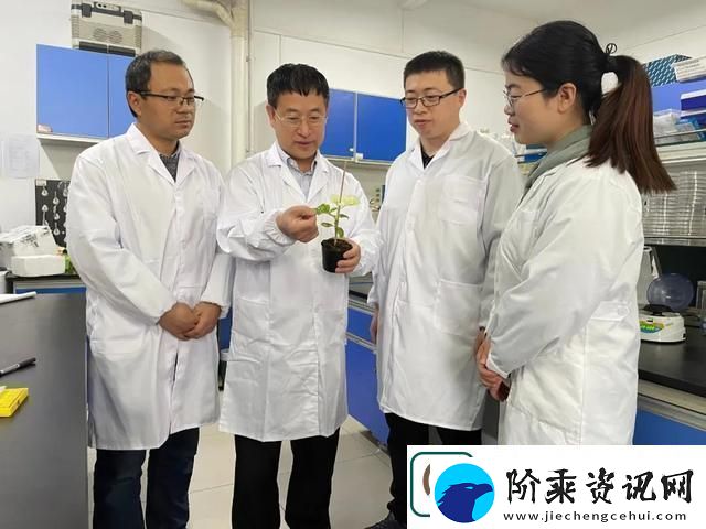 畜牧新篇