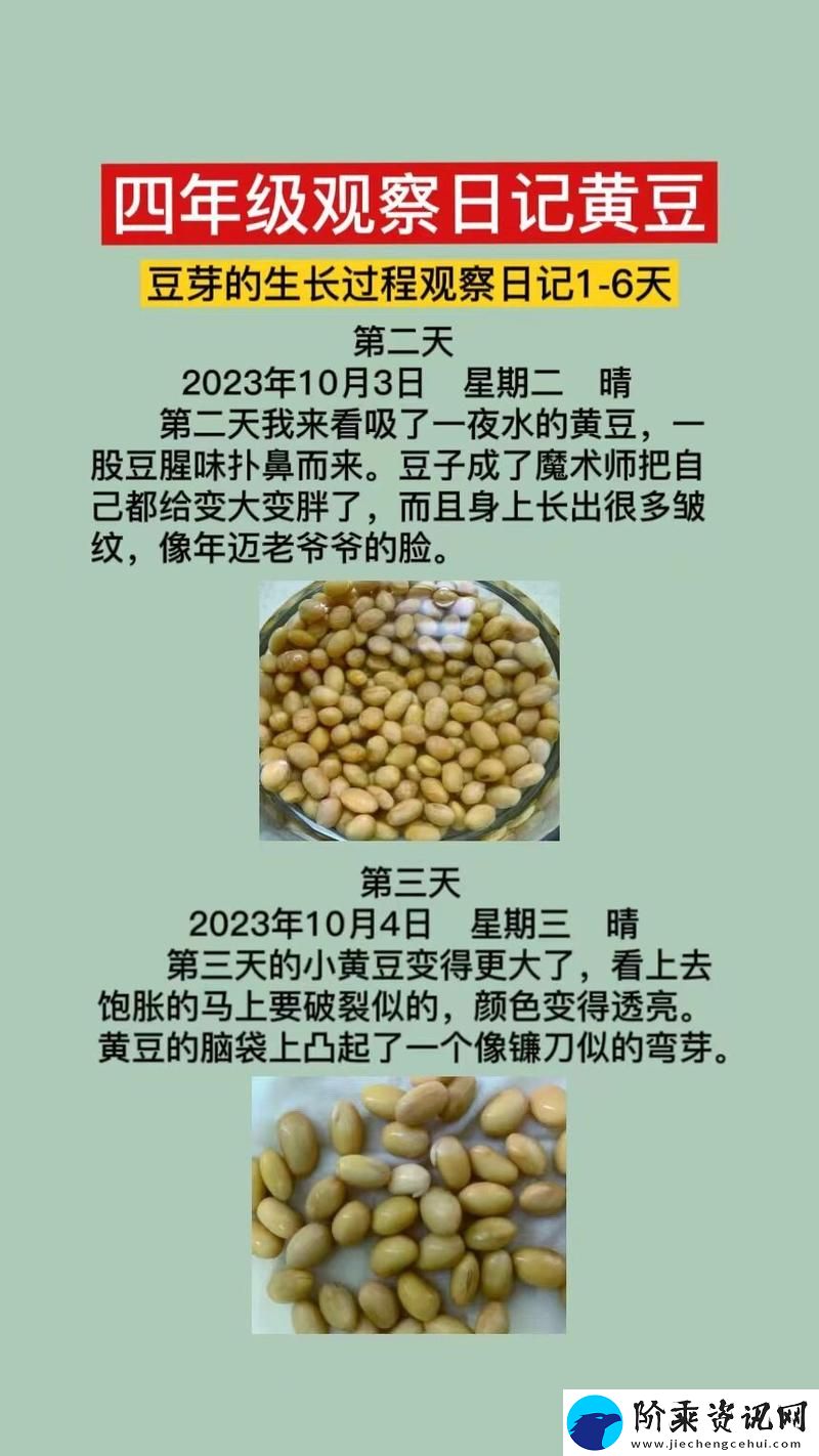 小翠日记1