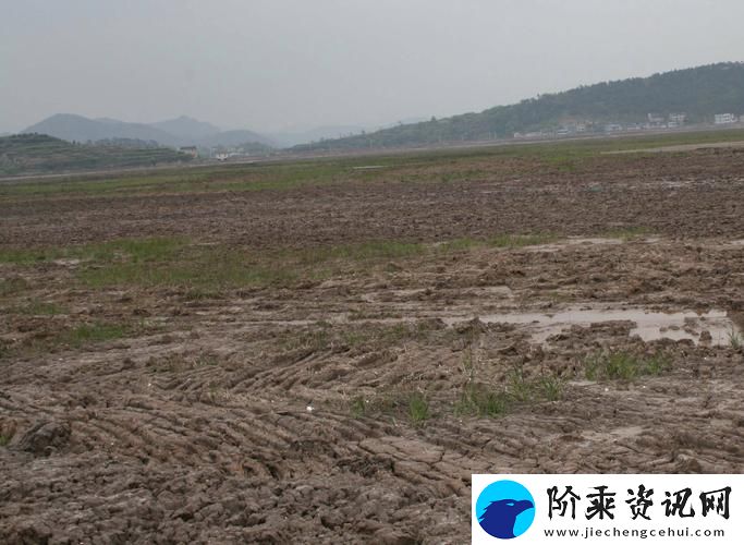 在“开垦老师肥沃的土地”中播种希望