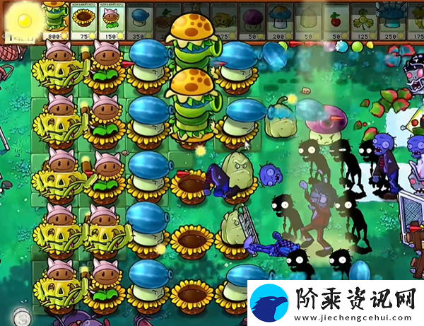 植物大战僵尸杂交版汉堡王1怎么打