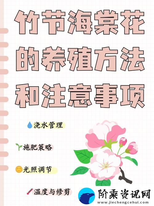 丰富多彩的被系统浇灌的日常