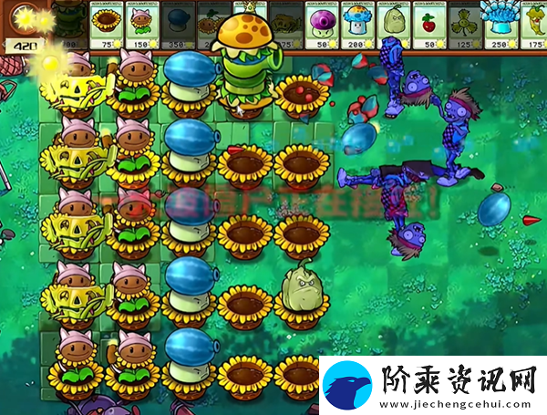 植物大战僵尸杂交版汉堡王1怎么打