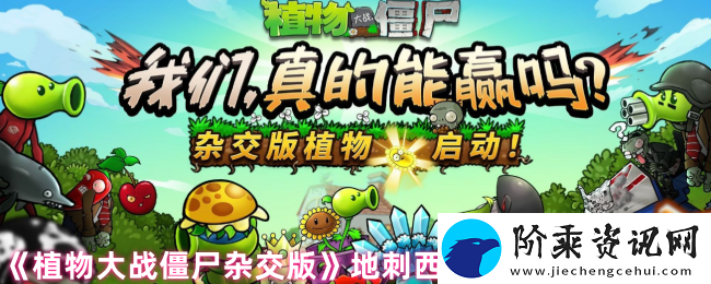 植物大战僵尸混合版地刺西瓜的能力与技能特点详细解析