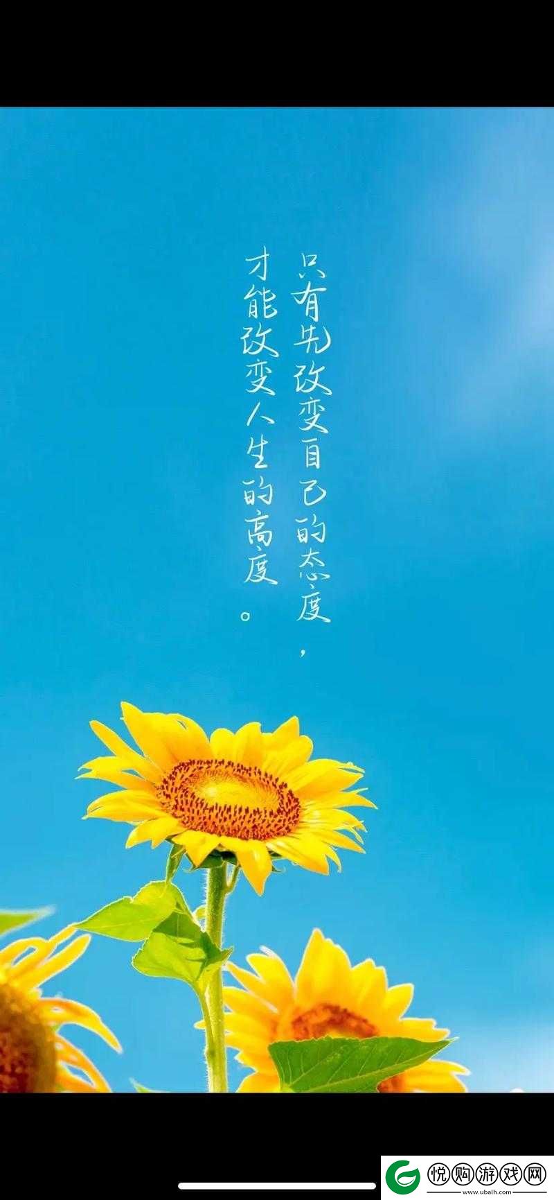 2024 给个网站好人有好报