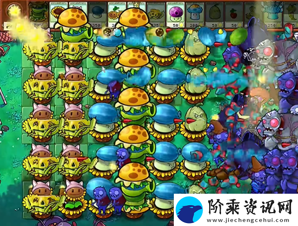 植物大战僵尸杂交版汉堡王1怎么打