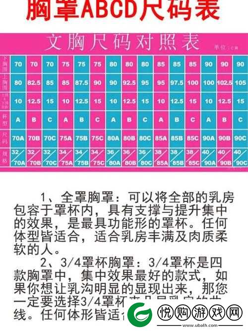 国产尺码和欧洲尺码表对比分析及应用实例探讨
