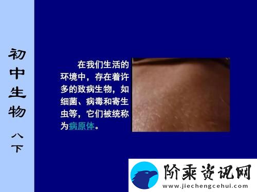 探秘“翁止熄痒苏钥10章”的深邃哲理