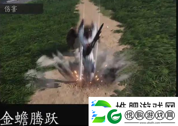 燕云十六声金蟾腾跃奇术介绍