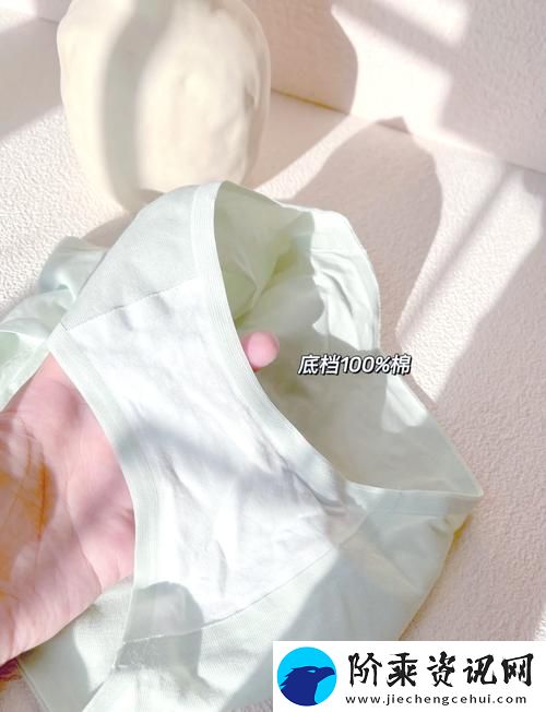 精致舒适的蜜桃91精品㊙️入口内裤