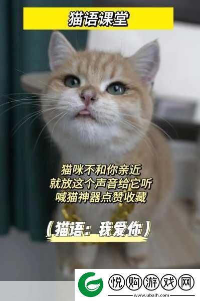 鸣潮探索新境界