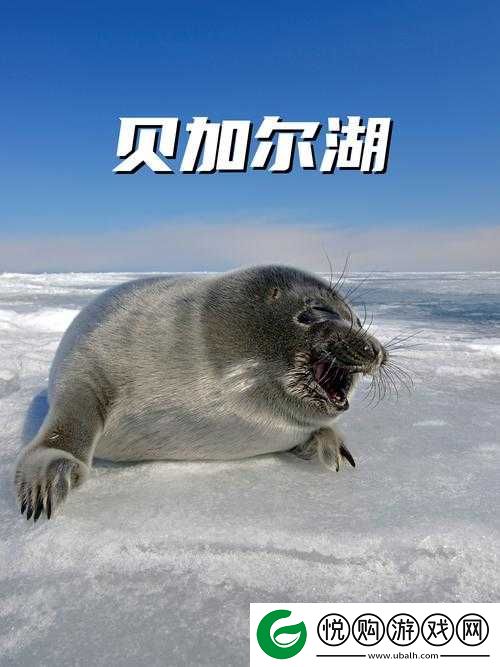 俄罗斯人又更又租后竟成为