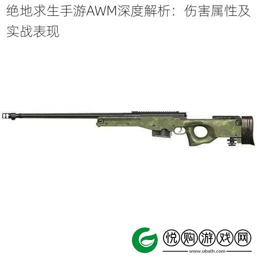 绝地求生手游AWM深度解析