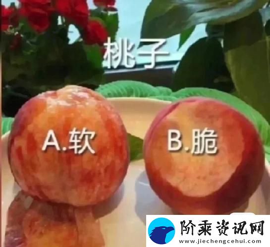 BBB槡BBBB槡BBBB是什么