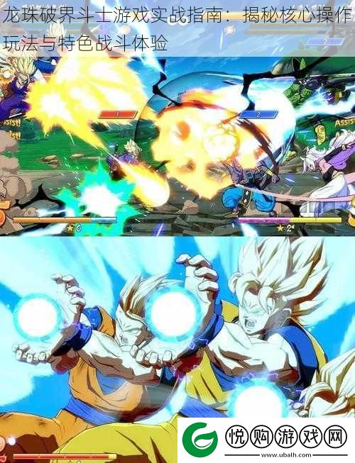 龙珠破界斗士游戏实战指南