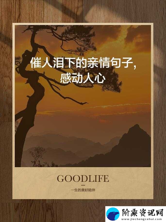 姑父大力支持送上——亲情支持的温暖传递
