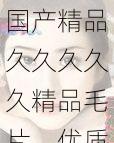 国产精品久久久久久精品毛片