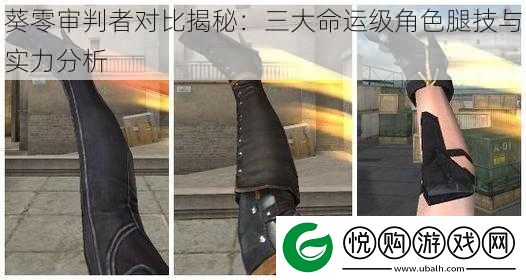 葵零审判者对比揭秘