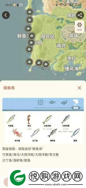 心动小镇幸运商人朵朵现身指南